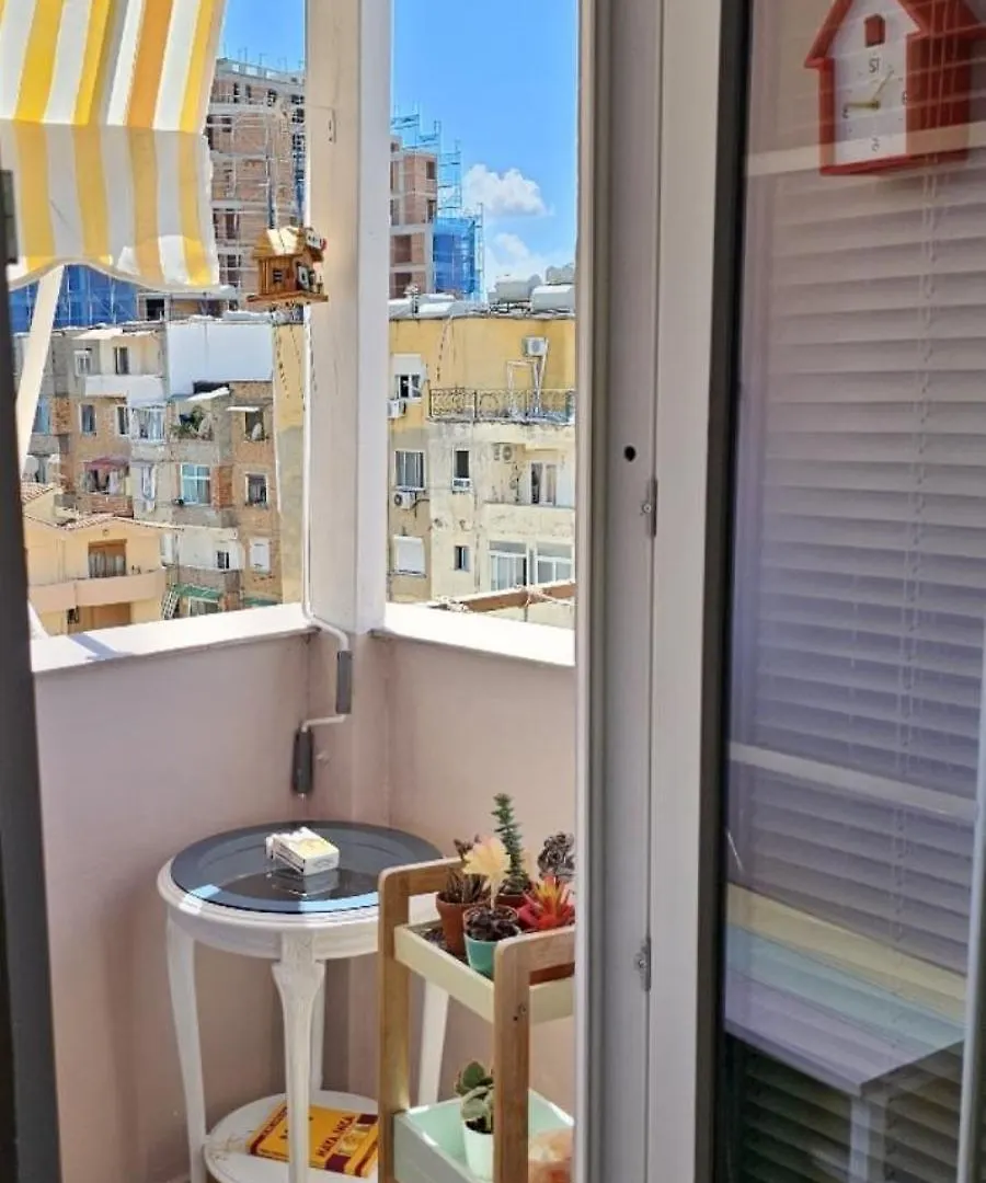 Nuci'S Place Tiran